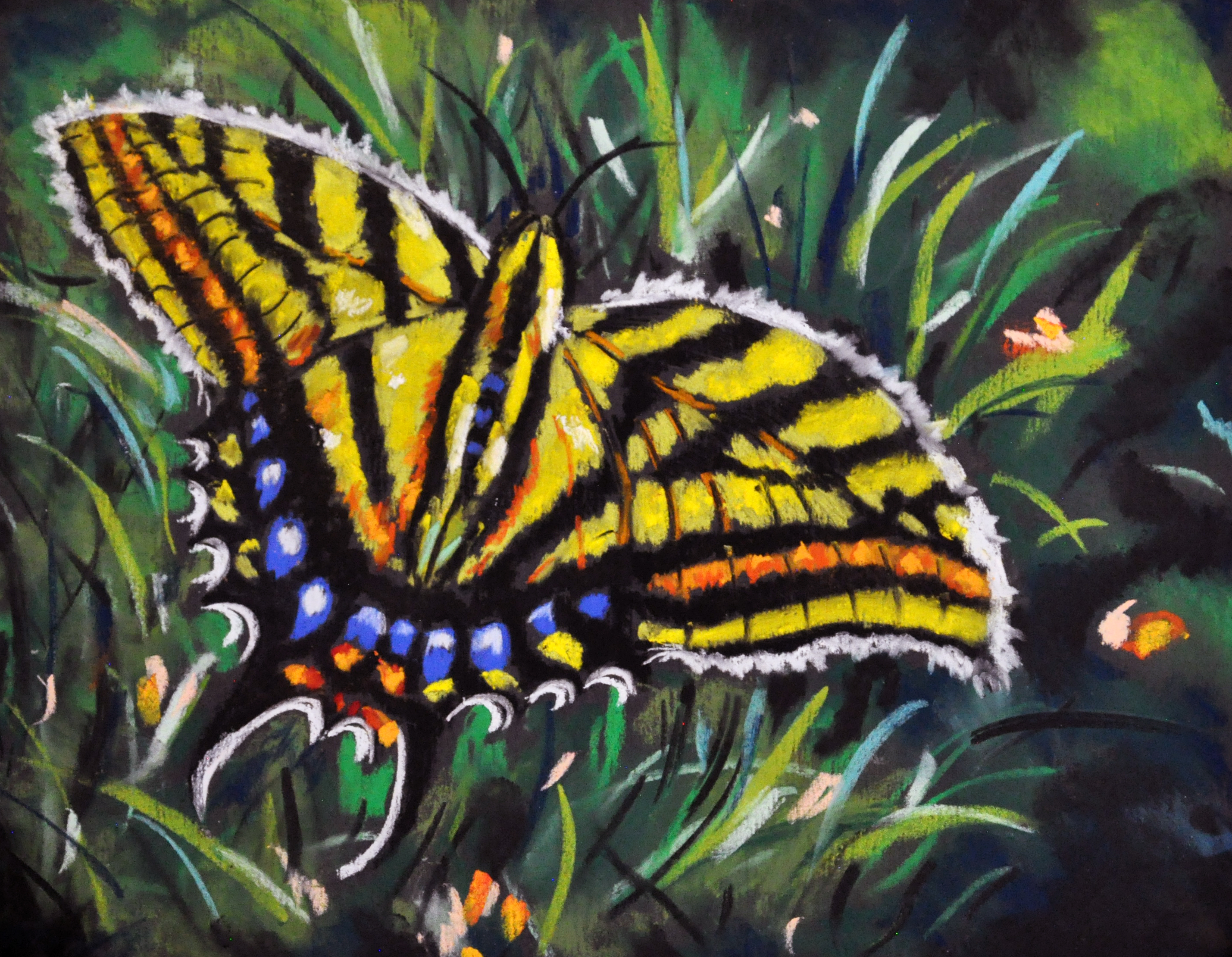 Judy Sprague studio