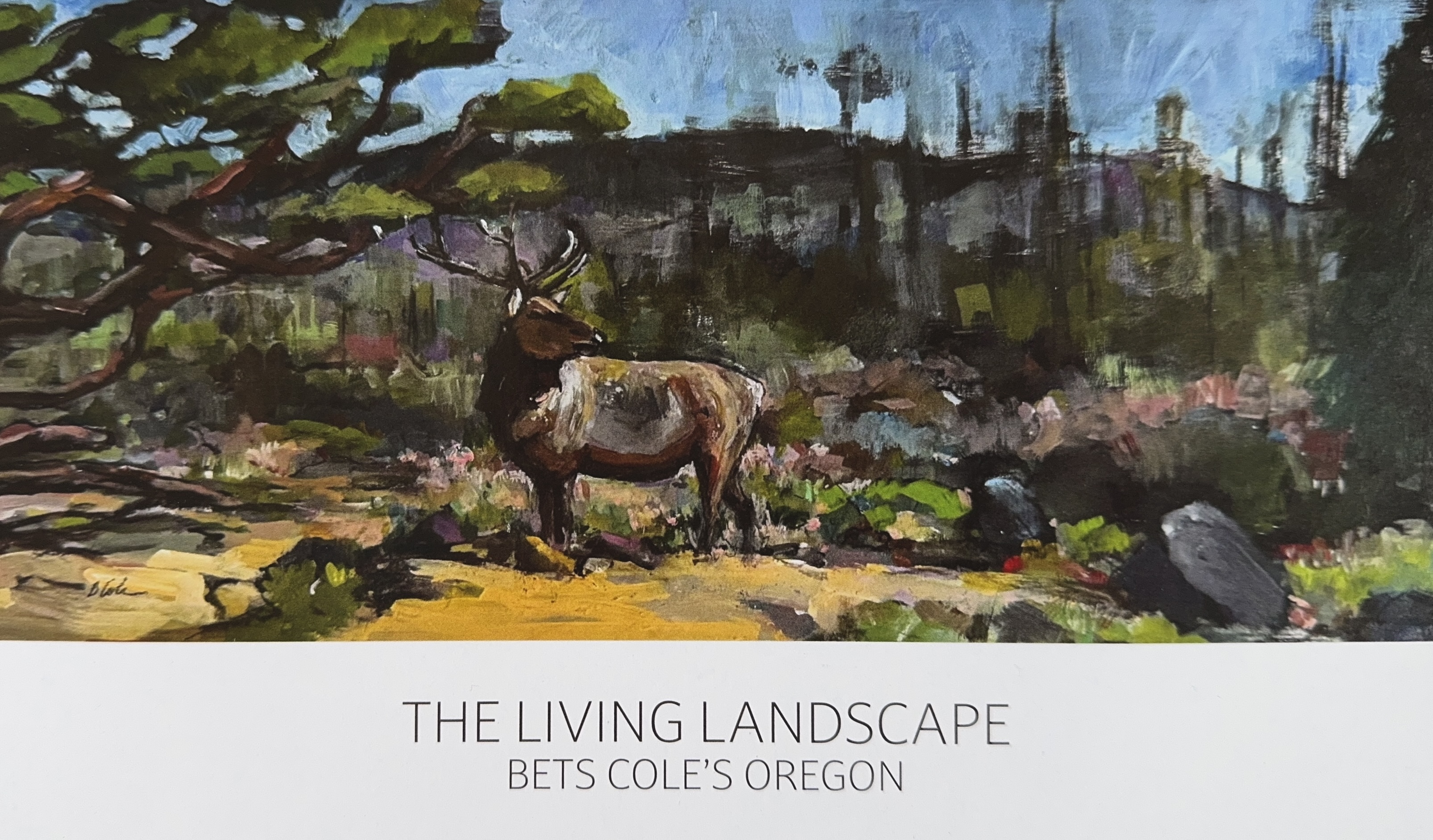 Bets Cole studio