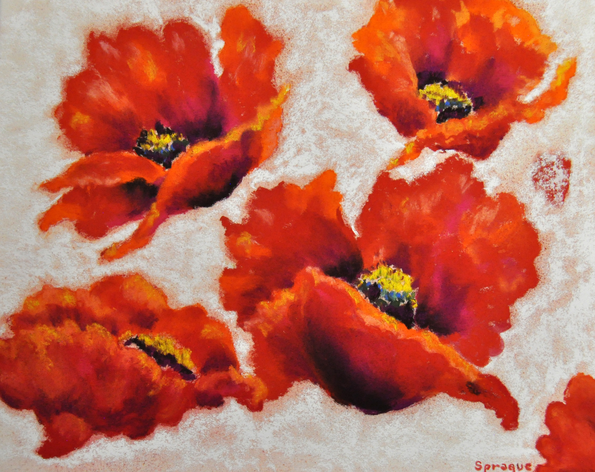 Judy Sprague studio