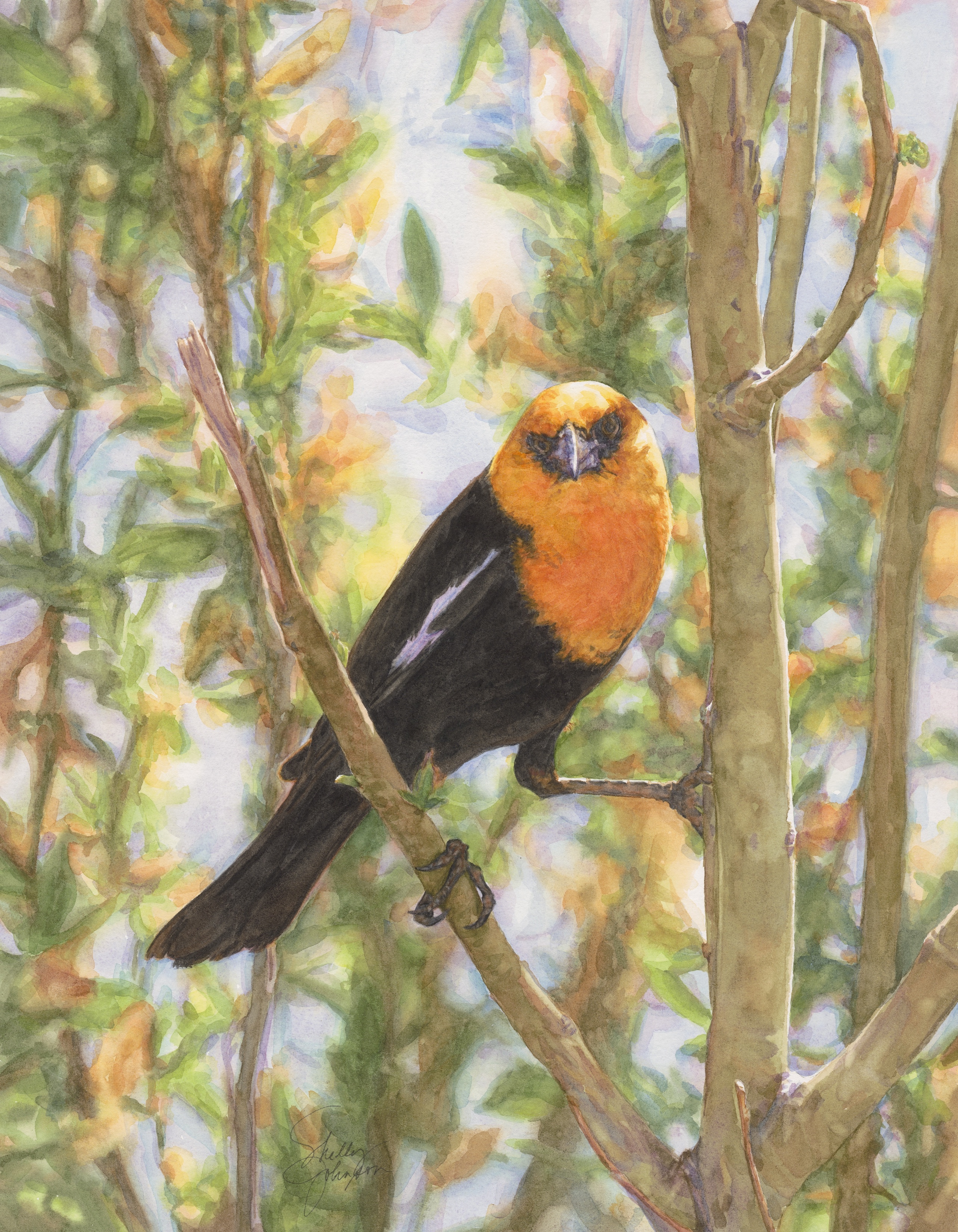 The Poser, artwork by Shelly Johnson