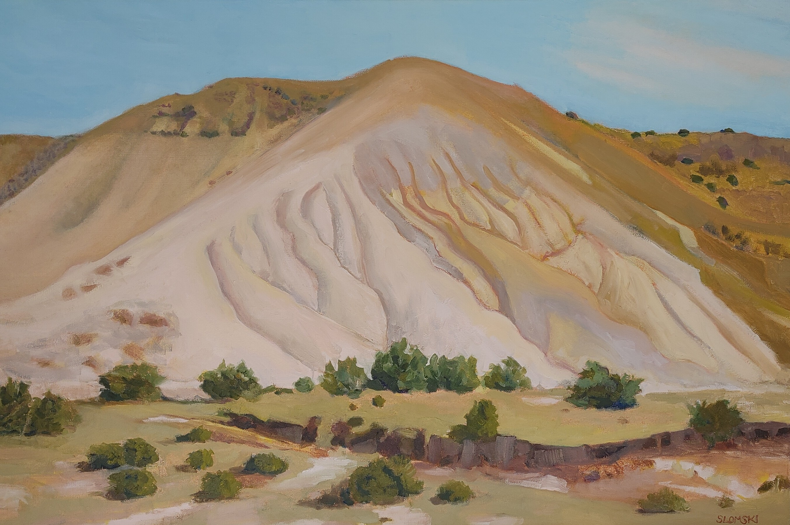 Susan Slomski studio