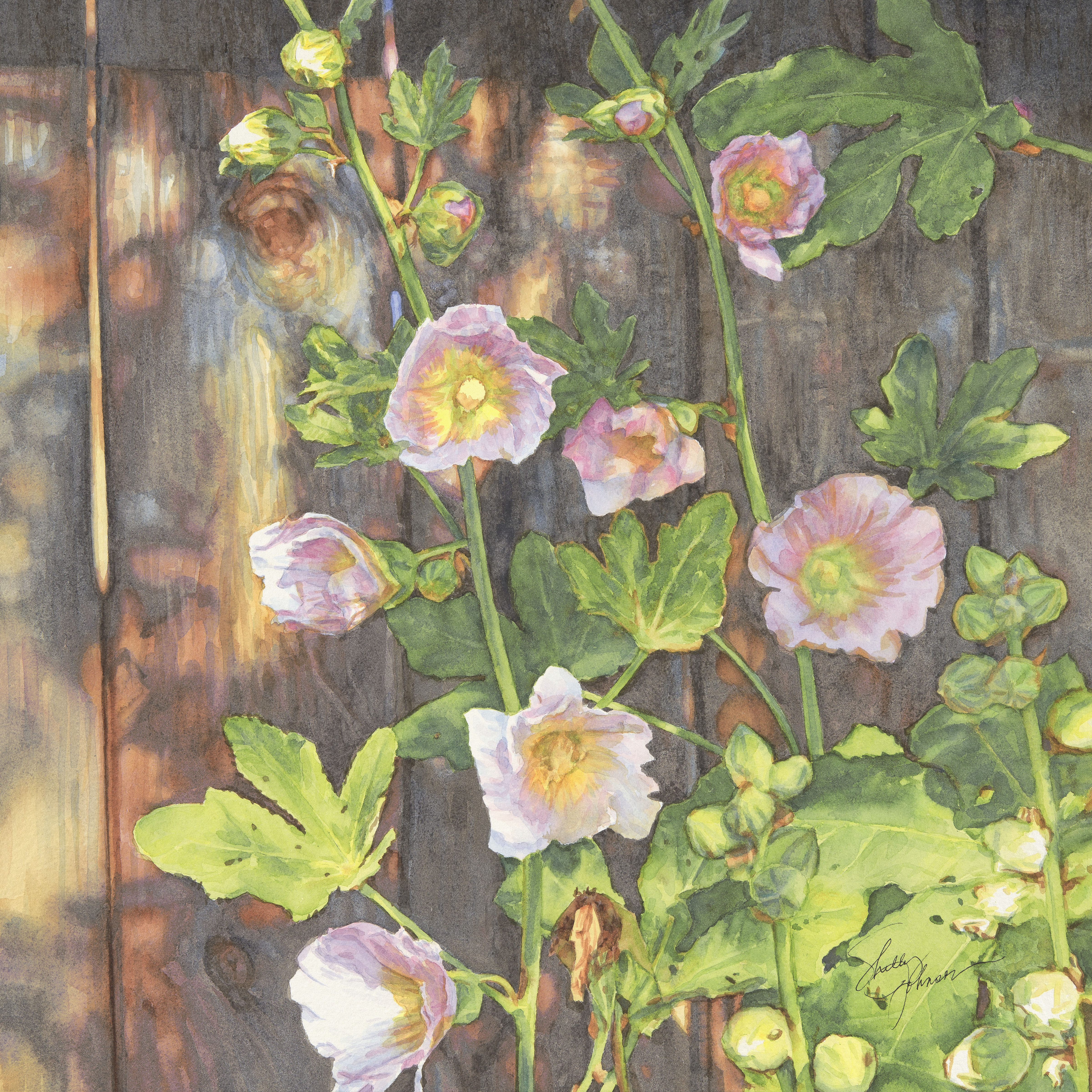 Urban Hollyhocks, artwork by Shelly Johnson