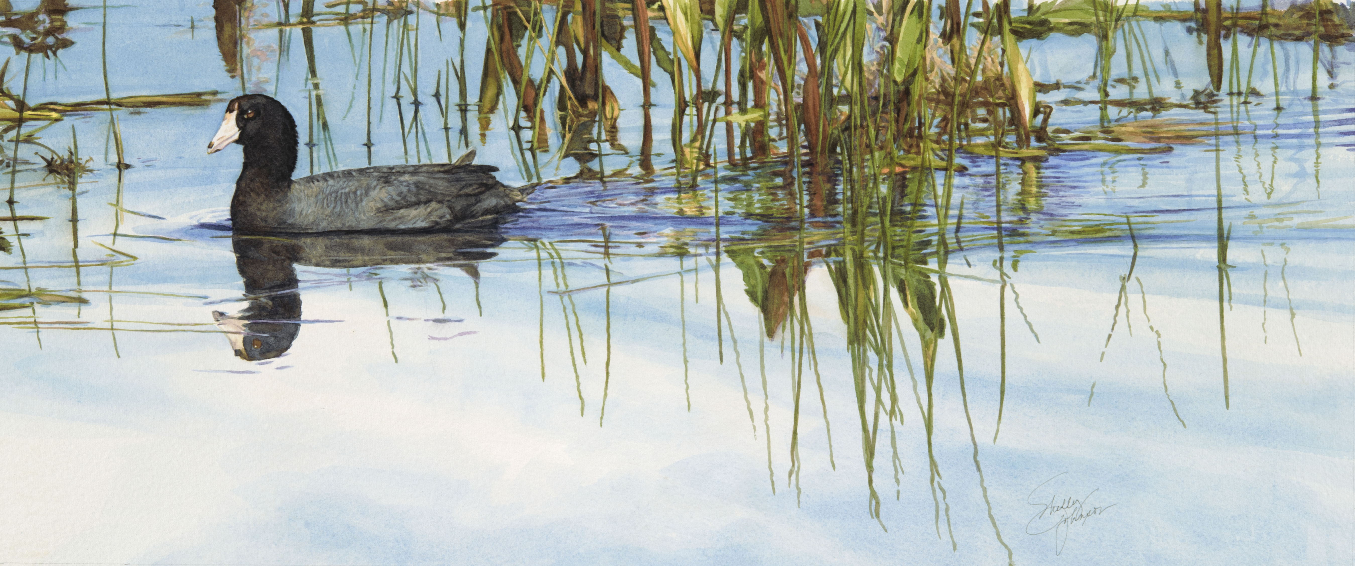 Trailing Water, artwork by Shelly Johnson