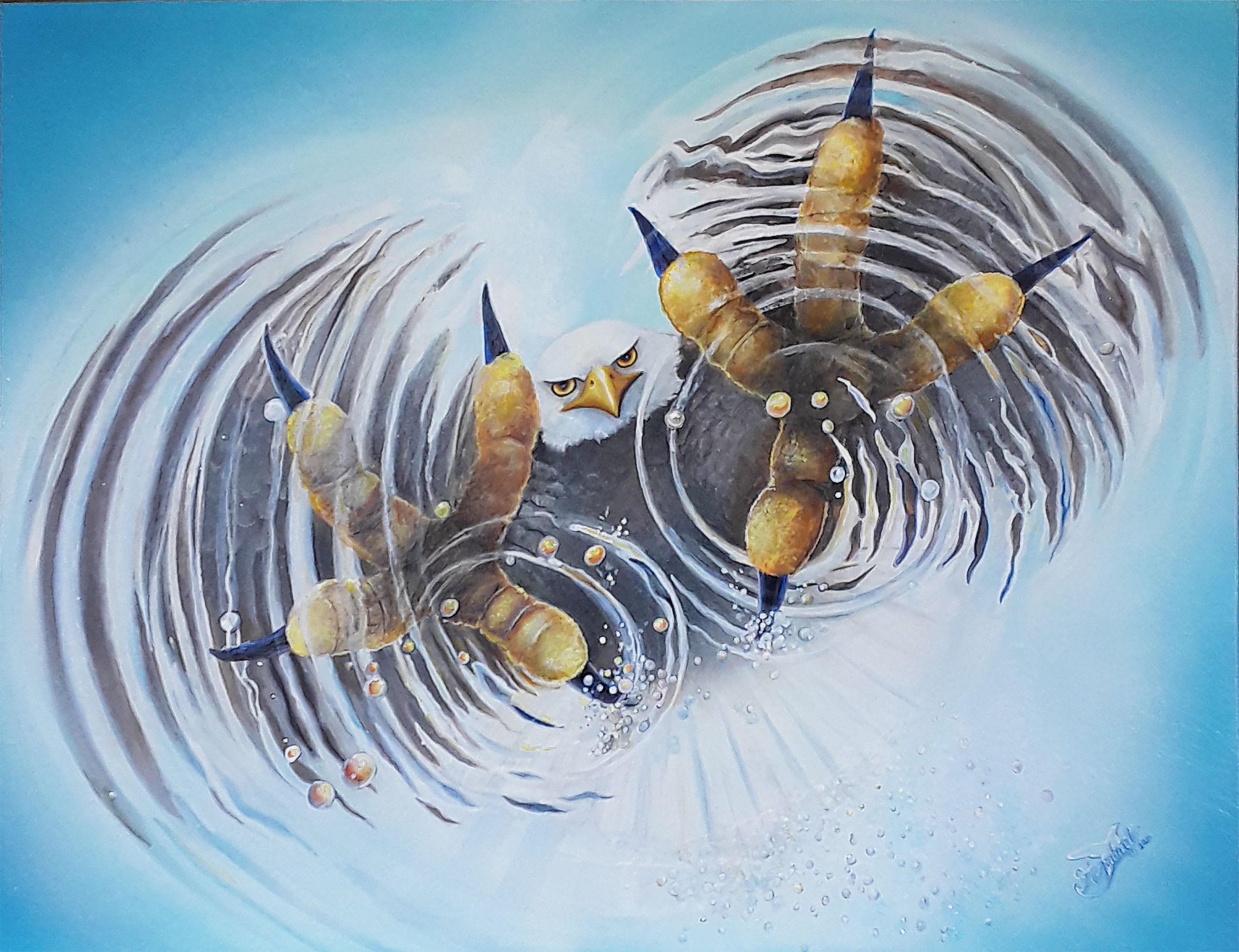 Fish Eye View, artwork by Lynn Haste
